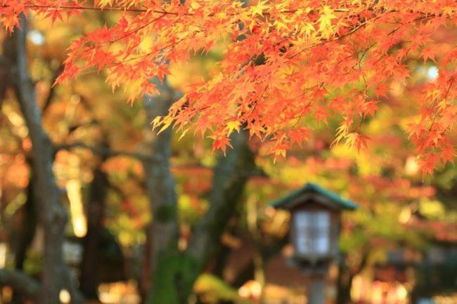 金沢ゲストハウス ナナ 金沢市 エクステリア 写真
