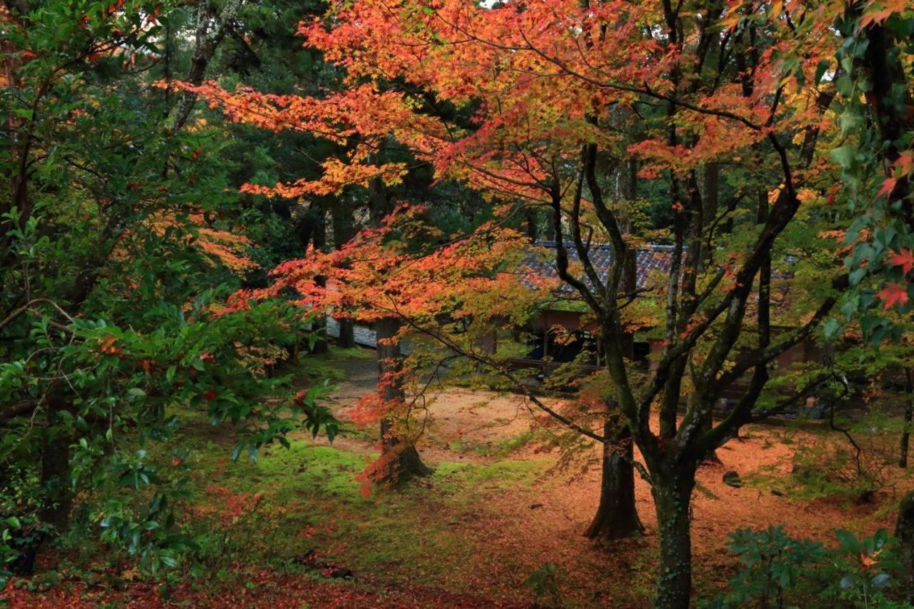 金沢ゲストハウス ナナ 金沢市 エクステリア 写真